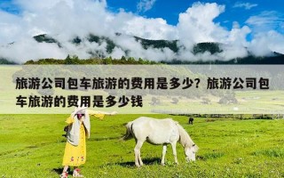 旅游公司包車旅游的費用是多少？旅游公司包車旅游的費用是多少錢