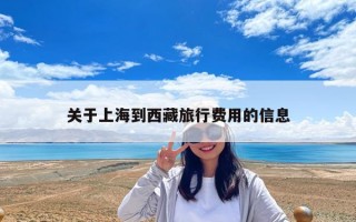 關于上海到西藏旅行費用的信息