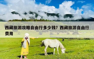 西藏旅游攻略自由行多少錢？西藏旅游自由行費用