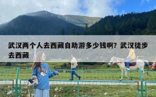 武漢兩個人去西藏自助游多少錢啊？武漢徒步去西藏