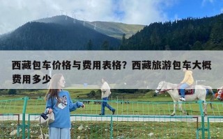 西藏包車價格與費用表格？西藏旅游包車大概費用多少