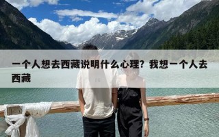 一個(gè)人想去西藏說明什么心理？我想一個(gè)人去西藏