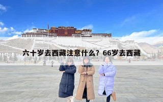 六十歲去西藏注意什么？66歲去西藏