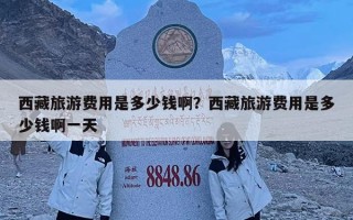 西藏旅游費用是多少錢啊？西藏旅游費用是多少錢啊一天