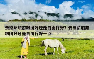 去拉薩旅游跟團好還是自由行好？去拉薩旅游跟團好還是自由行好一點