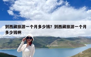 到西藏旅游一個月多少錢？到西藏旅游一個月多少錢啊