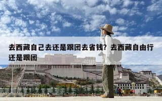 去西藏自己去還是跟團去省錢？去西藏自由行還是跟團