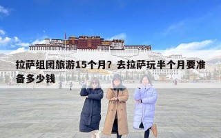 拉薩組團旅游15個月？去拉薩玩半個月要準備多少錢