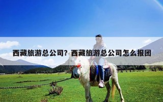 西藏旅游總公司？西藏旅游總公司怎么報團