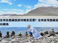 滄州去西藏旅游攻略及花費？滄州自駕西藏走川藏線