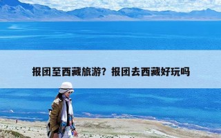 報團至西藏旅游？報團去西藏好玩嗎