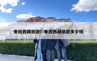 參團西藏旅游？參團西藏旅游多少錢