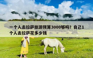 一個人去拉薩旅游預算3000夠嗎？自己1個人去拉薩花多少錢