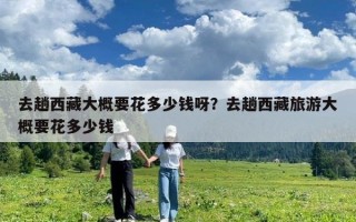 去趟西藏大概要花多少錢呀？去趟西藏旅游大概要花多少錢