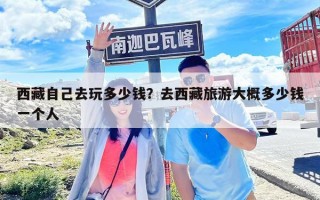 西藏自己去玩多少錢？去西藏旅游大概多少錢一個人