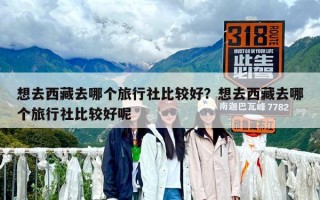 想去西藏去哪個旅行社比較好？想去西藏去哪個旅行社比較好呢