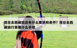 現在去西藏旅游有什么要求和條件？現在去西藏旅行需要什么手續