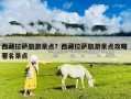 西藏拉薩旅游景點(diǎn)？西藏拉薩旅游景點(diǎn)攻略 著名景點(diǎn)