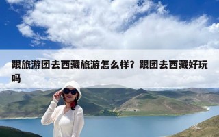 跟旅游團(tuán)去西藏旅游怎么樣？跟團(tuán)去西藏好玩嗎