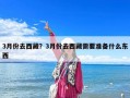 3月份去西藏？3月份去西藏需要準(zhǔn)備什么東西