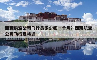 西藏航空公司飛行員多少錢一個月？西藏航空公司飛行員待遇