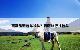 西藏旅游包車領(lǐng)隊？西藏旅行社包車