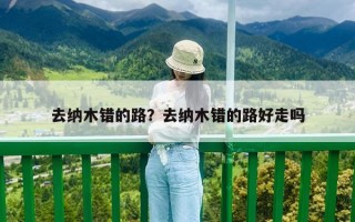 去納木錯的路？去納木錯的路好走嗎