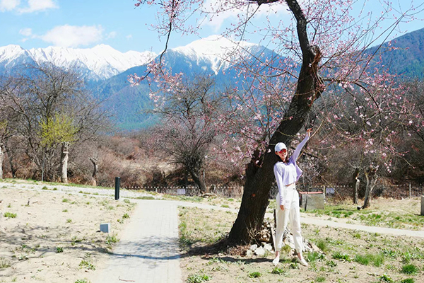 林芝旅游一般多少錢